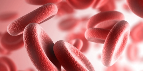 AWGP apresenta consensos sobre aplicação do Patient Blood Management em Oncologia