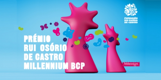 Candidaturas ao Prémio Rui Osório de Castro/Millenium BCP terminam este mês