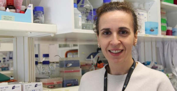 Descoberta de investigadora portuguesa abre portas a novas vias terapêuticas do cancro do pâncreas