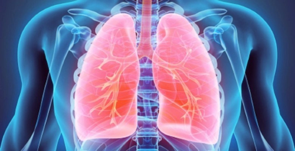 Dados mostram melhores resultados terapêuticos do cancro do pulmão em Portugal