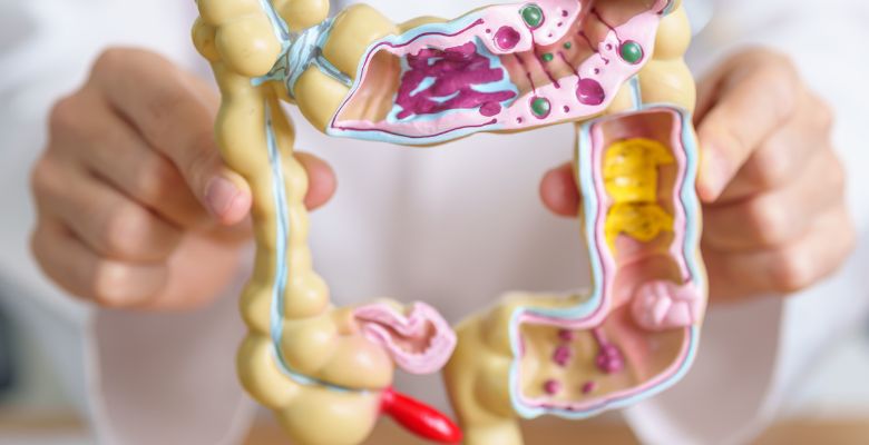 Inibidor VEGFR aprovado para tratamento de CCRm em Portugal
