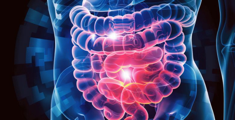 Inibidor VEGFR aprovado para tratamento de CCRm em Portugal