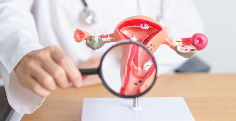 Proteção contra HPV: desafios e evidências da dose única da vacina