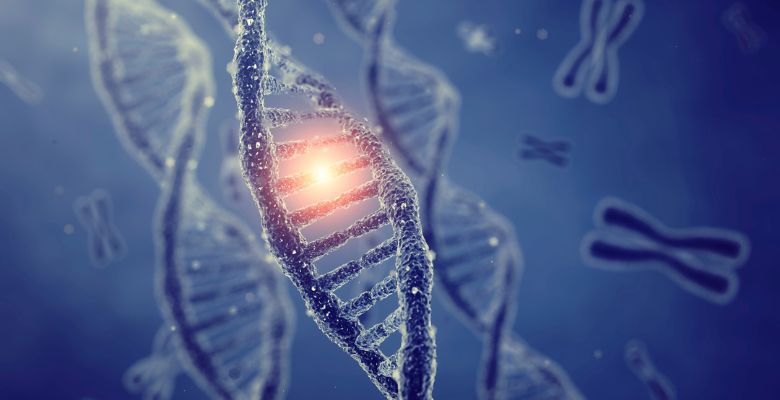 Impacto de mutações nos genes BRCA1/2 na sobrevivência dos doentes